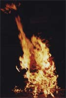 ���-�������-2003