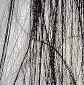 Sharon Louden �The Attender�