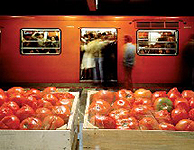 Enrique Bostelmann "Histories of Memory�