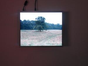 ���� ����������