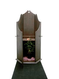 ���� ��������� �������, 2004. 210�110�100��, ������, ���� 