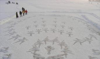 ���� ��������� ����������. 2002-2003-2004-2005