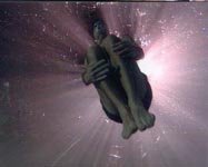 "30 ��� ������������ ����� ����" - � 12 ��� � ����