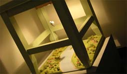 ���������� ������ "����� ��������"