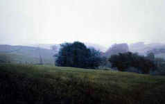 Amedeo Modigliani, �La robe noire�, 1918