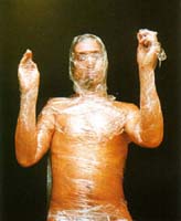 ������ ������ - "�����������"